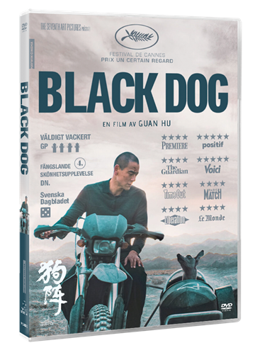 Black Dog