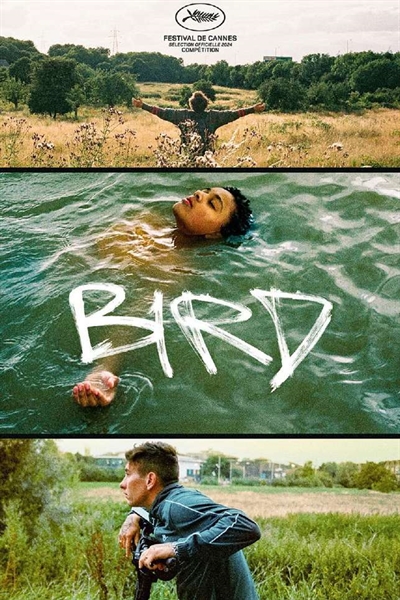 Bird - DVD