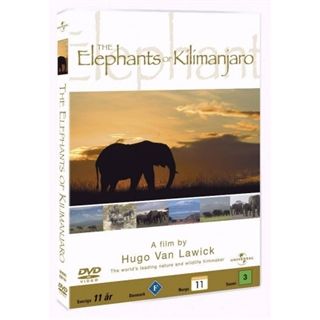 HVL ELEPHANTS OF KILIMANJARO  