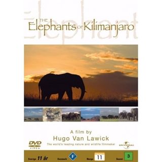 HVL Elephants of Kilimanja