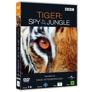 TIGER - SPY IN THE JUNGLE  