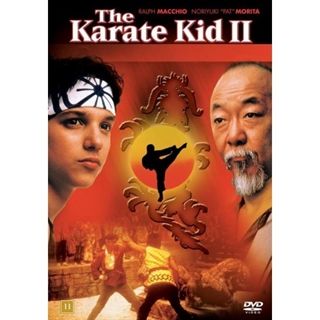 KARATE KID: PART II, THE, REPA