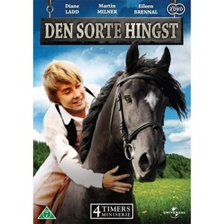 Den Sorte Hingst