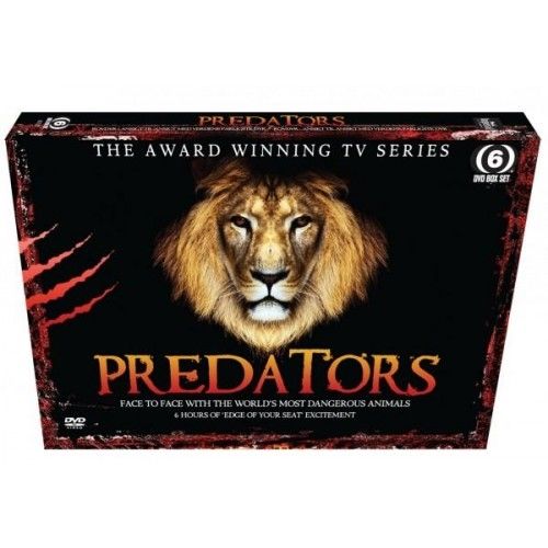 PREDATORS LION BOX (BRED)