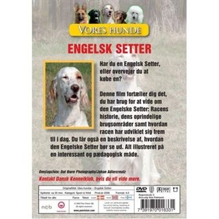 Vores Hunde - Engelsk Setter