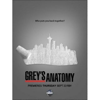 Greys Hvide Verden - Season 8