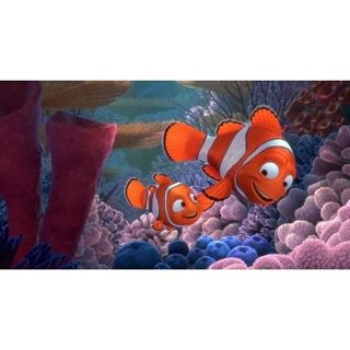 Find Nemo