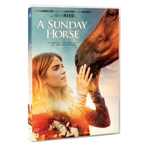 A Sunday Horse