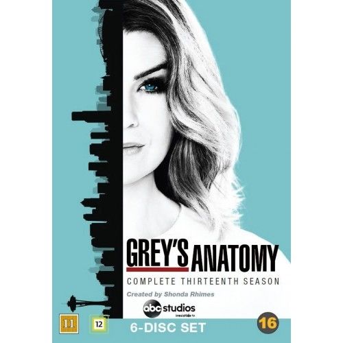 Greys Hvide Verden - Season 13