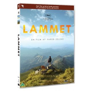 Lammet