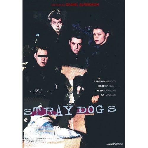 STRAYDOGS