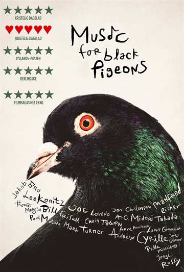 Music For Black Pigeons - Dvd