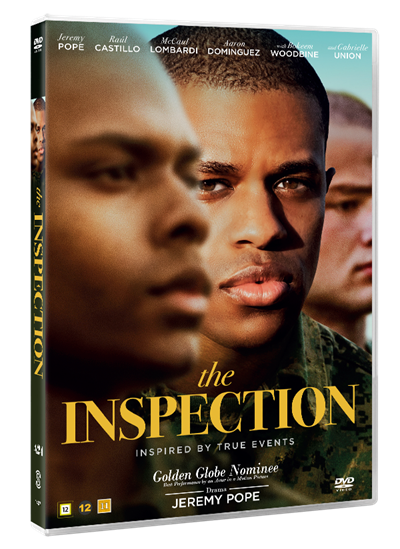 The Inspection